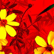 完整版齐全的黑客软件攻击器手机版